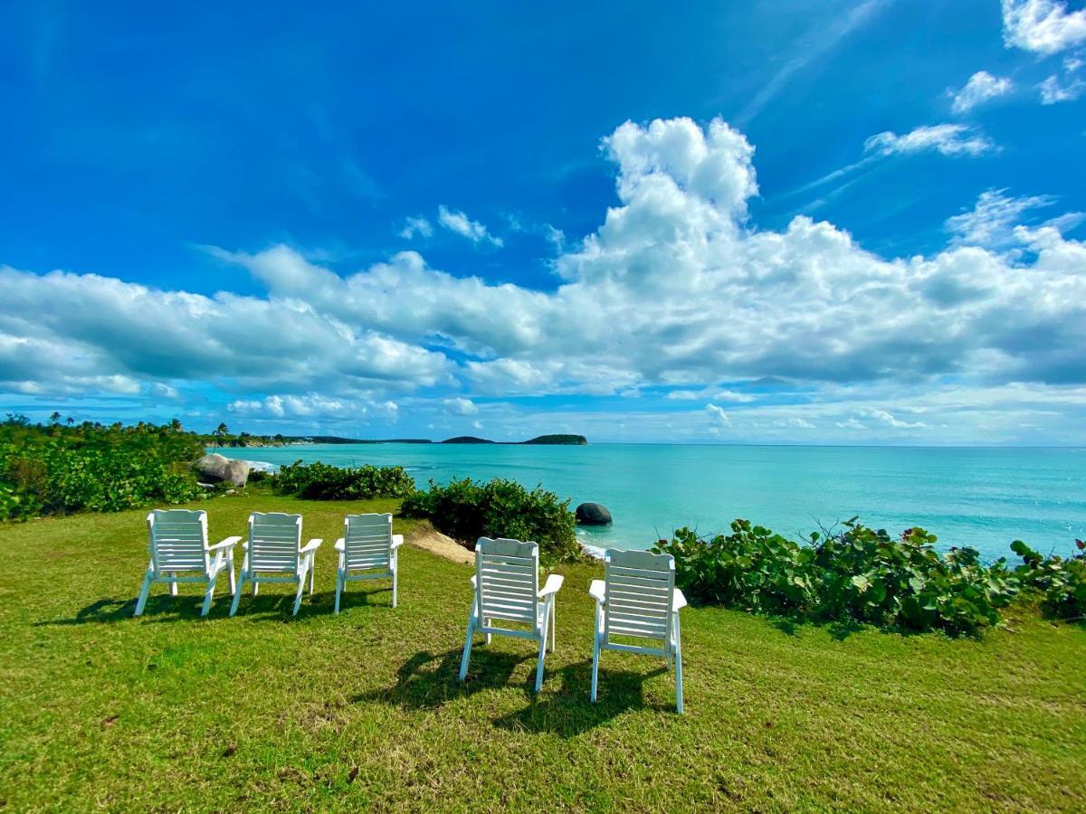 Blue Horizon Boutique Resort (Adults Only) Vieques Exterior foto