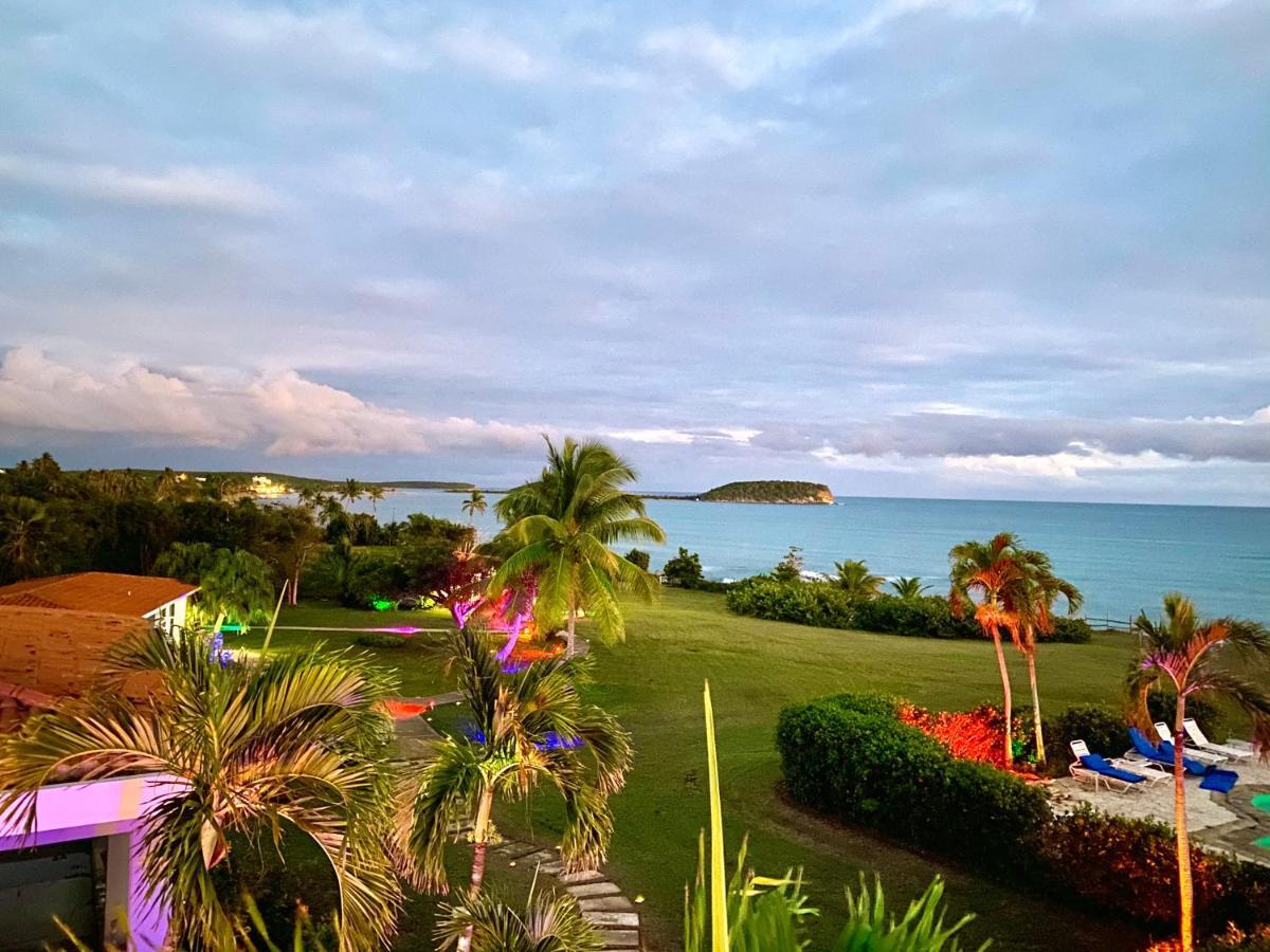 Blue Horizon Boutique Resort (Adults Only) Vieques Exterior foto