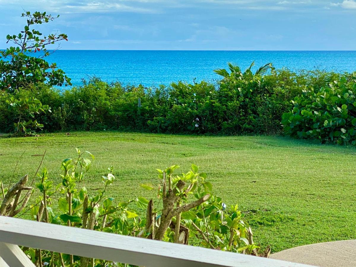 Blue Horizon Boutique Resort (Adults Only) Vieques Exterior foto