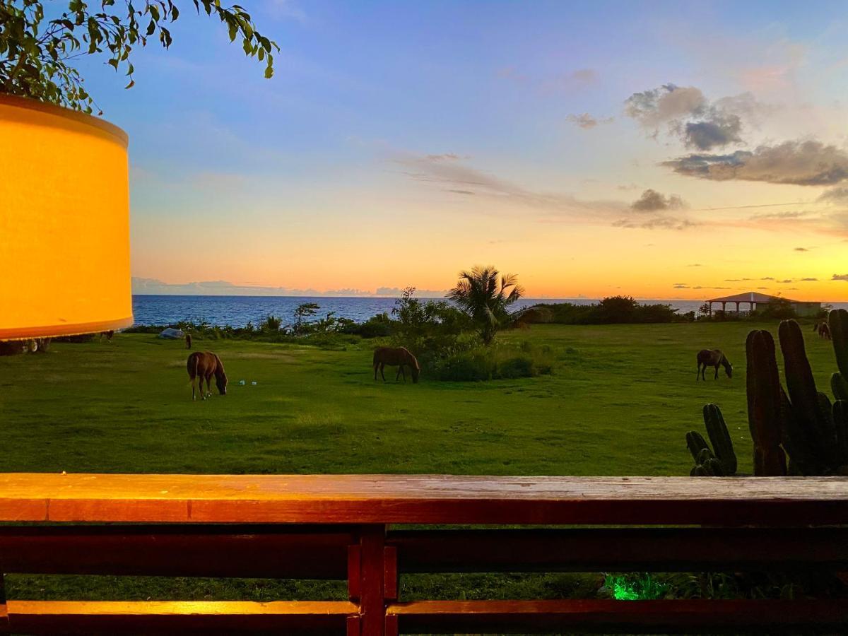 Blue Horizon Boutique Resort (Adults Only) Vieques Exterior foto