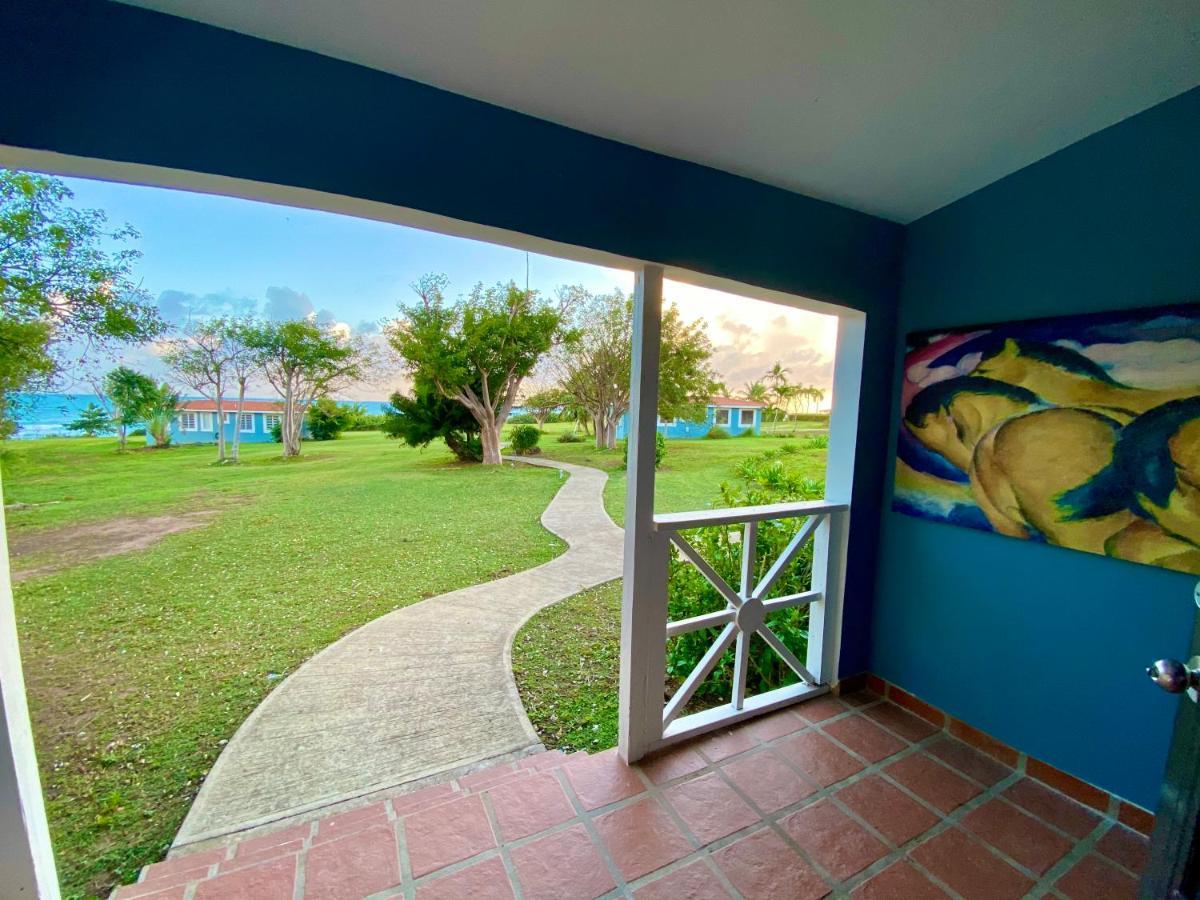 Blue Horizon Boutique Resort (Adults Only) Vieques Exterior foto