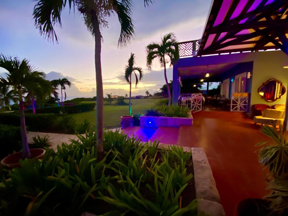 Blue Horizon Boutique Resort (Adults Only) Vieques Exterior foto